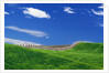 Wheat Field and Fence by Anonymous