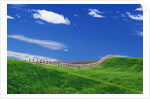 Wheat Field and Fence by Anonymous