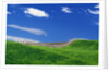 Wheat Field and Fence by Anonymous