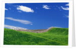 Wheat Field and Fence by Anonymous