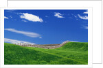 Wheat Field and Fence by Anonymous