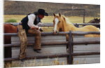 Cowboy and Horses by Anonymous