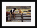 Cowboy and Horses by Anonymous