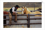 Cowboy and Horses by Anonymous