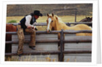 Cowboy and Horses by Anonymous