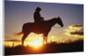 Cowboy Silhouetted at Sunset by Anonymous
