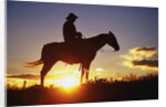 Cowboy Silhouetted at Sunset by Anonymous