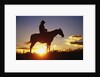 Cowboy Silhouetted at Sunset by Anonymous