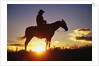 Cowboy Silhouetted at Sunset by Anonymous