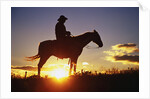 Cowboy Silhouetted at Sunset by Anonymous
