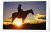 Cowboy Silhouetted at Sunset by Anonymous
