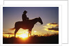 Cowboy Silhouetted at Sunset by Anonymous