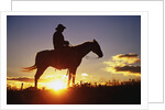 Cowboy Silhouetted at Sunset by Anonymous