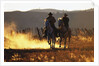 Cowboys on Galloping Horses by Anonymous