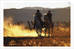 Cowboys on Galloping Horses by Anonymous