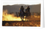 Cowboys on Galloping Horses by Anonymous