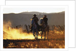 Cowboys on Galloping Horses by Anonymous