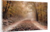 Fresh Snow on a Rural Road by Anonymous