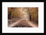 Fresh Snow on a Rural Road by Anonymous