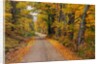 New England Road in Autumn by Anonymous