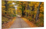 New England Road in Autumn by Anonymous