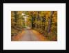 New England Road in Autumn by Anonymous