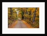 New England Road in Autumn by Anonymous