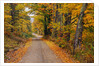 New England Road in Autumn by Anonymous