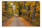 New England Road in Autumn by Anonymous