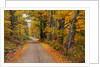 New England Road in Autumn by Anonymous