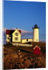 Cape Neddick Lighthouse by Anonymous