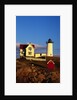 Cape Neddick Lighthouse by Anonymous