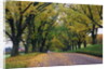 Rural Road in Autumn by Anonymous