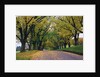 Rural Road in Autumn by Anonymous