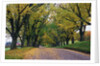 Rural Road in Autumn by Anonymous