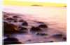 Rocky Shores of Bass Harbor by Anonymous