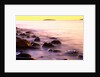 Rocky Shores of Bass Harbor by Anonymous