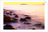 Rocky Shores of Bass Harbor by Anonymous