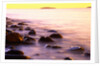 Rocky Shores of Bass Harbor by Anonymous