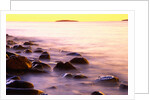 Rocky Shores of Bass Harbor by Anonymous