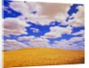 White Clouds Over Wheat Field by Anonymous
