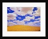 White Clouds Over Wheat Field by Anonymous