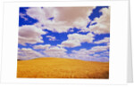 White Clouds Over Wheat Field by Anonymous
