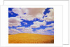 White Clouds Over Wheat Field by Anonymous