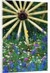 Wagon Wheel Sitting Among Wildflowers by Anonymous
