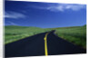 Freshly Paved Highway by Anonymous