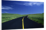 Freshly Paved Highway by Anonymous