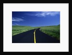 Freshly Paved Highway by Anonymous