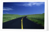 Freshly Paved Highway by Anonymous