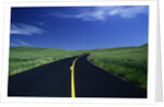 Freshly Paved Highway by Anonymous